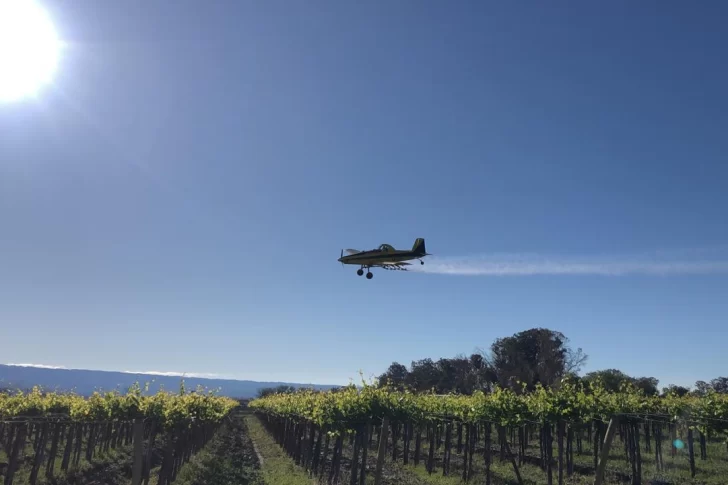 San Juan refuerza la lucha contra la polilla de la vid con nuevas aplicaciones aéreas en zonas vitivinícolas