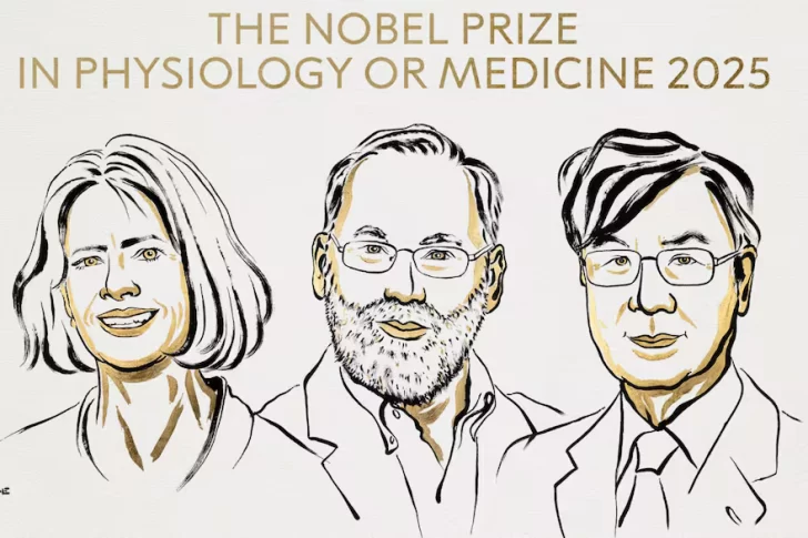Premio Nobel de Medicina: Brunkow, Ramsdell y Sakaguchi, reconocidos por sus hallazgos sobre la tolerancia inmunitaria