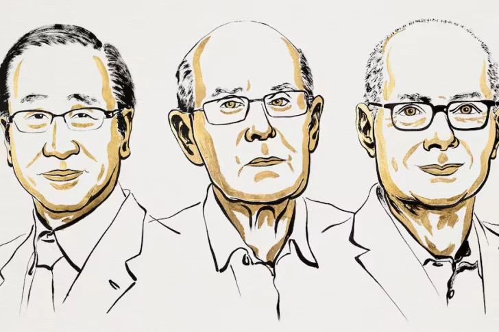 Tres científicos que desarrollaron estructuras metalorgánicas recibieron el Nobel de Química