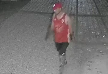 Vive en un barrio cerrado, robaron en su casa y los ladrones quedaron filmados Vive en un barrio cerrado, robaron en su casa y los ladrones quedaron filmados