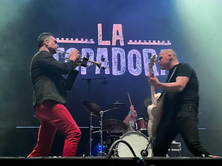 topadora-728x546 topadora-728x546