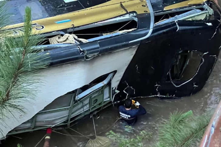 Tragedia en Misiones: ya son 8 las personas muertas en el accidente de colectivo de larga distancia que chocó y cayó a un arroyo