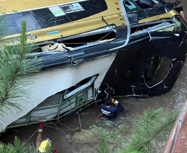 Tragedia en Misiones: ya son 8 las personas muertas en el accidente de colectivo de larga distancia que chocó y cayó a un arroyo Tragedia en Misiones: ya son 8 las personas muertas en el accidente de colectivo de larga distancia que chocó y cayó a un arroyo