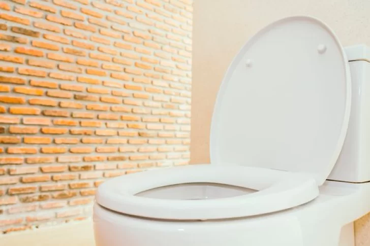 Un estudio demuestra que la orina puede utilizarse para fortalecer huesos y dientes