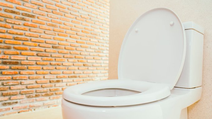 Un estudio demuestra que la orina puede utilizarse para fortalecer huesos y dientes