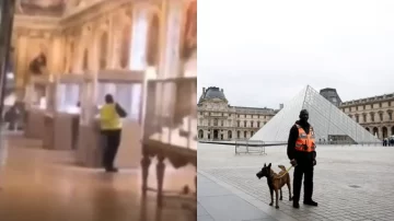 Un turista grabó el momento exacto del robo en el museo del Louvre