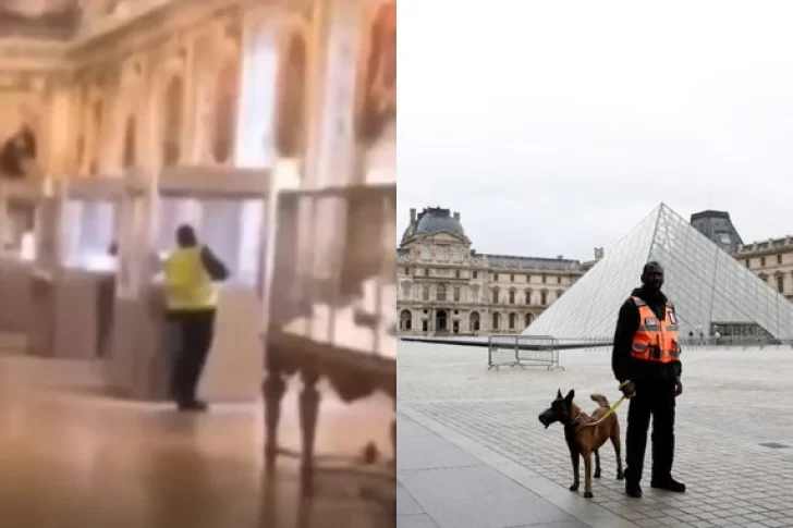 Un turista grabó el momento exacto del robo en el museo del Louvre