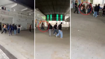 Lo echaron de la escuela por mala conducta, volvió con un palo, golpeó a los compañeros e hirió a una docente Lo echaron de la escuela por mala conducta, volvió con un palo, golpeó a los compañeros e hirió a una docente