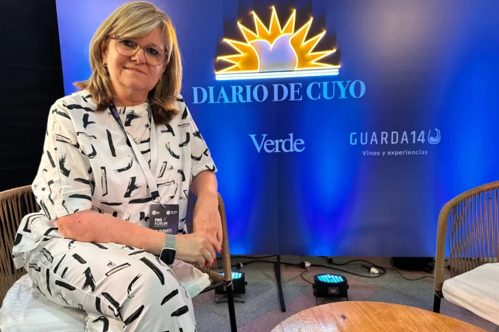 La postura de Vicuña sobre la Ley de Glaciares y la de proveedores mineros