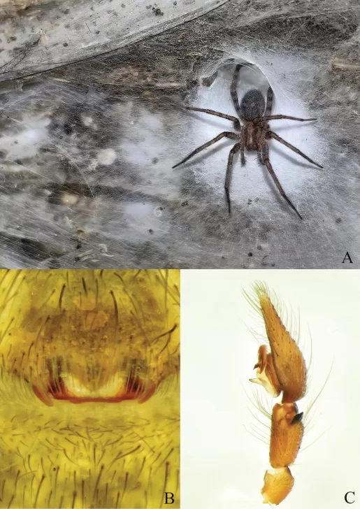 16b81d2e-c813-4513-8c83-8c33fa3e7188-515x728