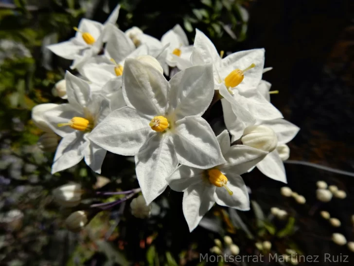 2-2-728x546 2-2-728x546