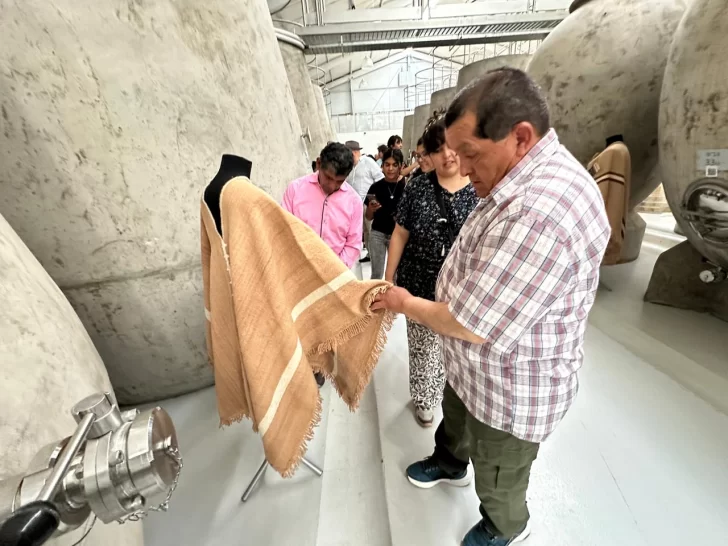 27-11-25-ponchos-17-728x546