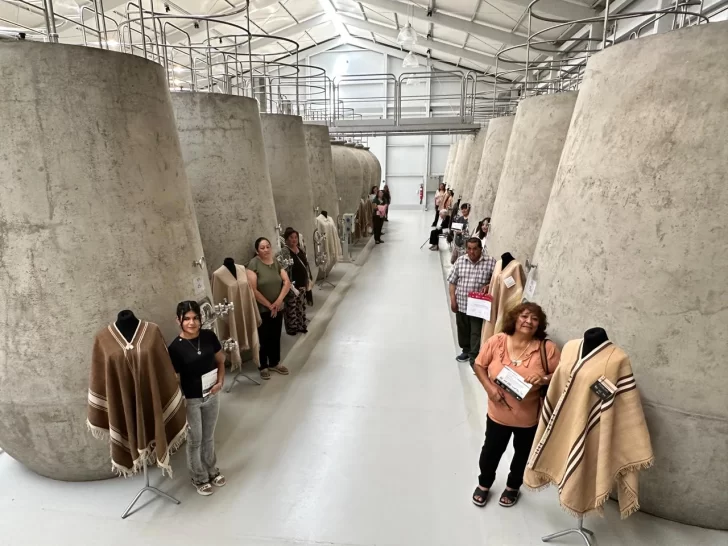 La emoción dijo presente en el cierre de ‘San Juan Premia su Poncho’, certamen en el que participaron 20 tejedores