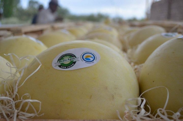 482026097_1143183417599296_1129322830336649378_n