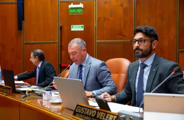 Sin sorpresas, el oficialismo (bloquismo incluido) y un sector del peronismo acompañaron a Baigorrí: los votos