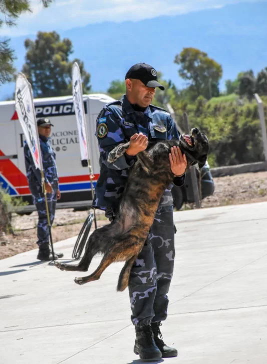 577303156_1238448734994984_237876156013825503_n-1-533x728 577303156_1238448734994984_237876156013825503_n-1-533x728