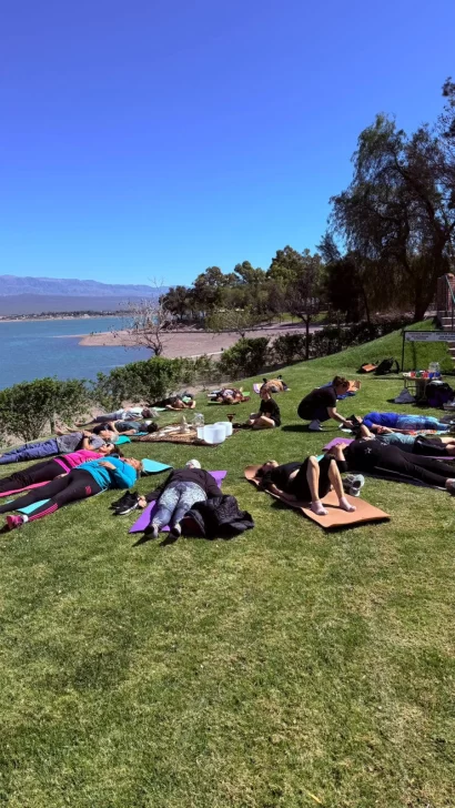 6-1-410x728 6-1-410x728