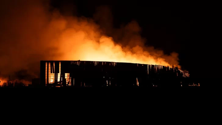 7421b731-00cc-4439-b0a9-b1eb795d6d2e-728x410