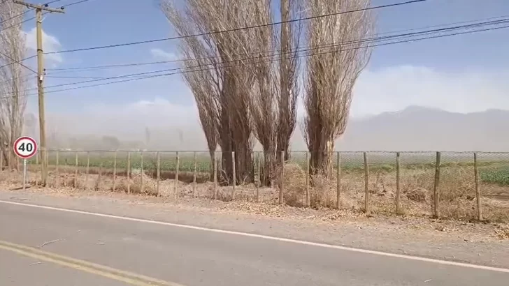 Tras la intimación del EPRE, Naturgy anunció inversiones en Calingasta 