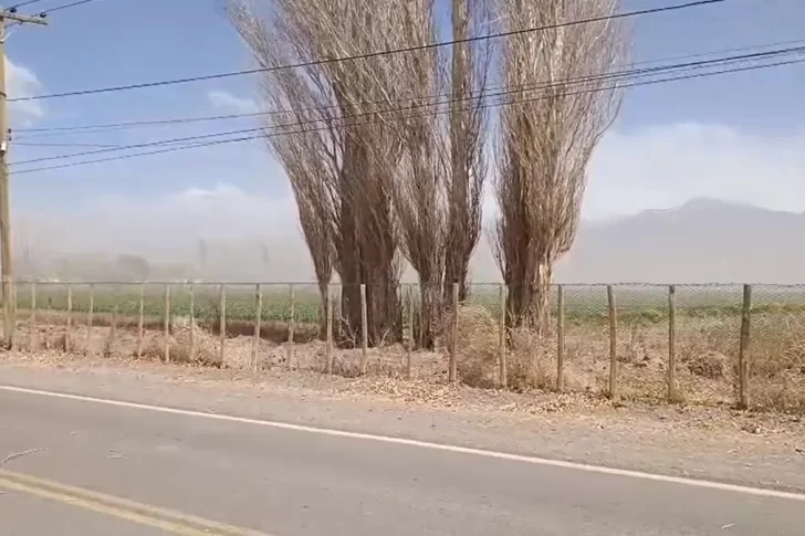 Tras la intimación del EPRE, Naturgy anunció inversiones en Calingasta 