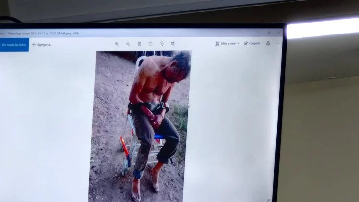 8f3df96e-ed63-4eca-82f7-6de9953211b3-728x410 8f3df96e-ed63-4eca-82f7-6de9953211b3-728x410