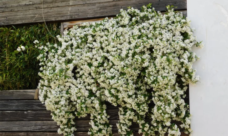 9-1-728x437 9-1-728x437