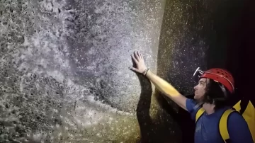 Descubren una telaraña gigante de 106 metros cuadrados habitada por más de 110.000 arañas