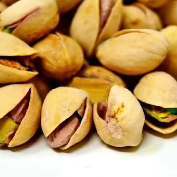 San Juan es potencia para el “oro verde”, según la mirada de uno de los principales productores de pistacho San Juan es potencia para el “oro verde”, según la mirada de uno de los principales productores de pistacho