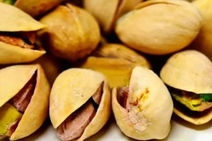 San Juan es potencia para el “oro verde”, según la mirada de uno de los principales productores de pistacho