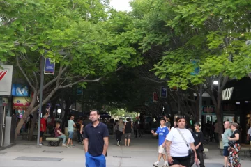 Un homenaje a un gran ejemplar, Ibirá Pitá