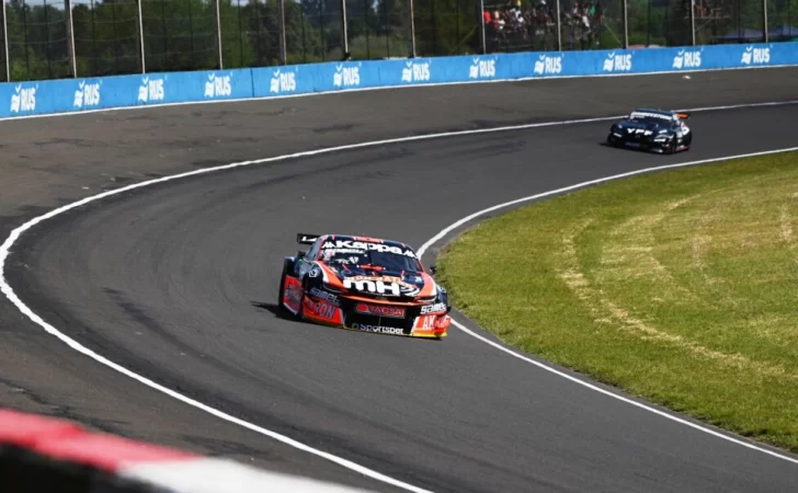 Canapino-III-TC-2025-728x450 Canapino-III-TC-2025-728x450