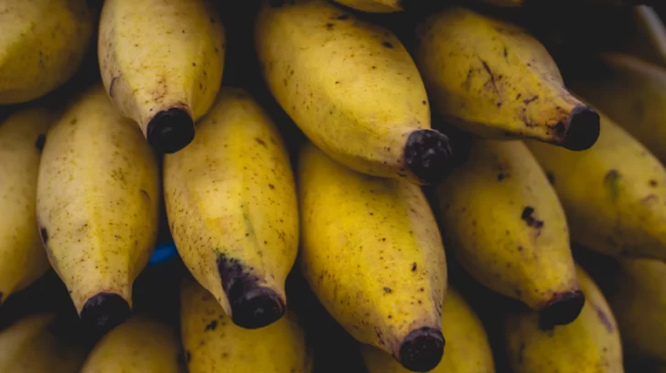 Captura-de-pantalla-2025-11-05-114209-728x408