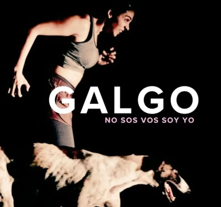 GALGO-728x680 GALGO-728x680
