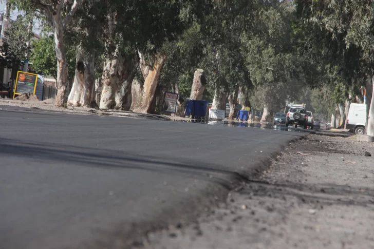 IMG_7756-728x485 IMG_7756-728x485