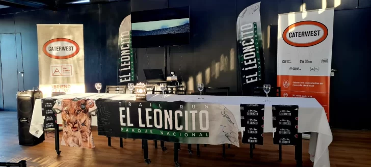 LEONES-728x328 LEONES-728x328