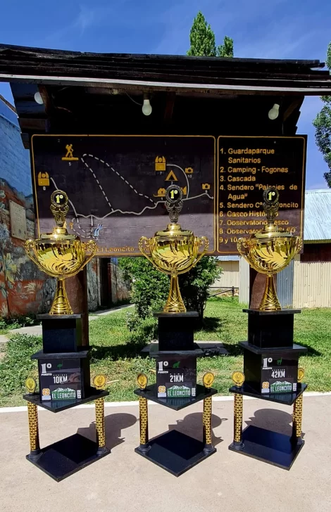 LEONES2-470x728 LEONES2-470x728