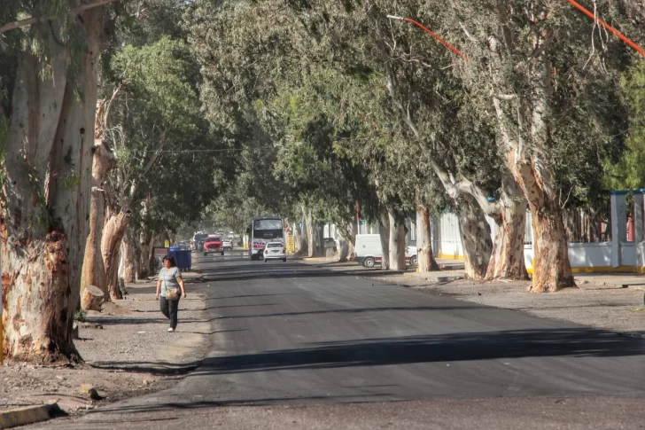 Lemos4-728x485 Lemos4-728x485