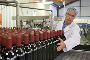 Productores vitivinícolas presentan un amparo contra la desregulación del Instituto Nacional de Vitivinicultura