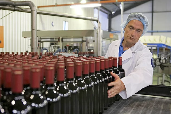 Productores vitivinícolas presentan un amparo contra la desregulación del Instituto Nacional de Vitivinicultura