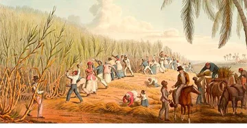 Consideraciones sobre lo que significa ser colonia Consideraciones sobre lo que significa ser colonia