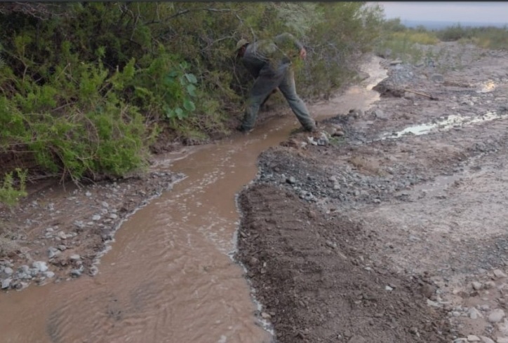 Sin-titulo Sin-titulo
