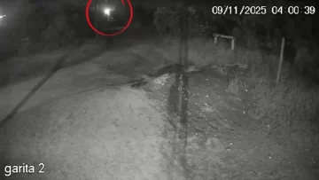 El video donde se ve al femicida de Débora Bulacio arrastrando el cuerpo de la víctima hasta el lugar donde la enterró El video donde se ve al femicida de Débora Bulacio arrastrando el cuerpo de la víctima hasta el lugar donde la enterró