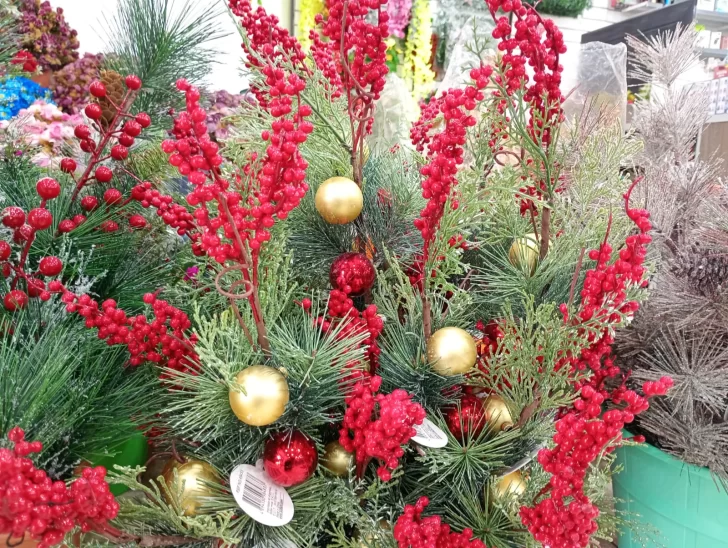 WhatsApp-Image-2025-11-22-at-08.19.19-728x548 WhatsApp-Image-2025-11-22-at-08.19.19-728x548