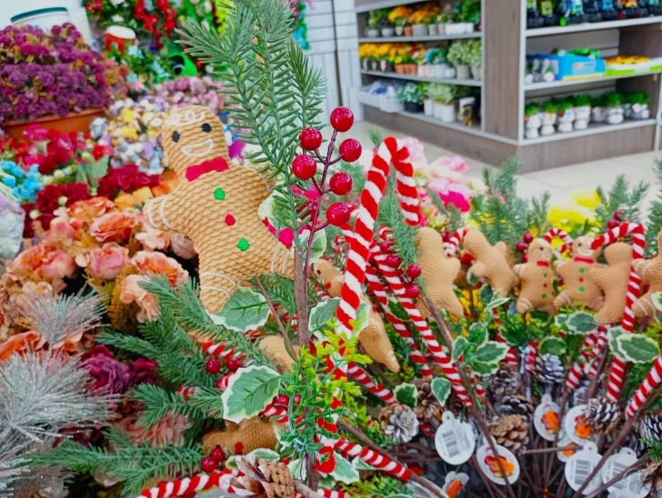 WhatsApp-Image-2025-11-22-at-08.19.20-1-728x548 WhatsApp-Image-2025-11-22-at-08.19.20-1-728x548