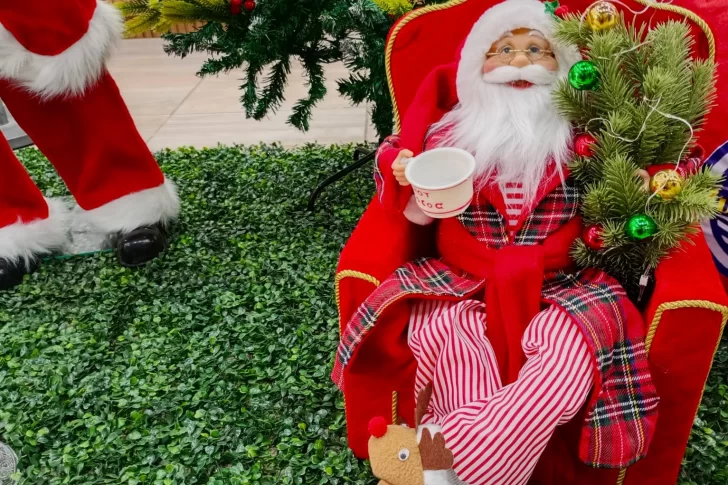 Excéntricos y cautivantes, los llamativos adornos navideños que sorprenden y que trajo el boom de las importadoras a San Juan