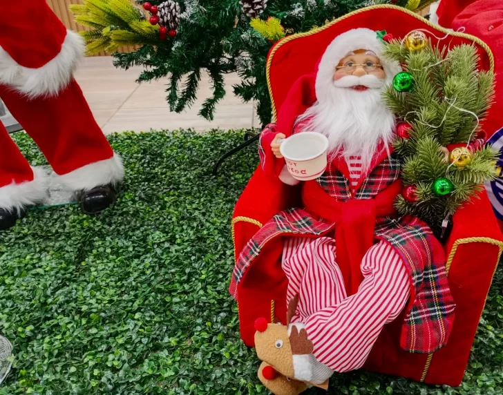 Excéntricos y cautivantes, los llamativos adornos navideños que sorprenden y que trajo el boom de las importadoras a San Juan Excéntricos y cautivantes, los llamativos adornos navideños que sorprenden y que trajo el boom de las importadoras a San Juan