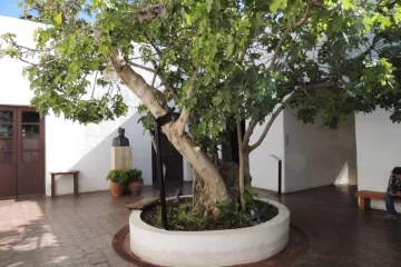 Mirá lo que podés hacer el miércoles 5 de noviembre en San Juan