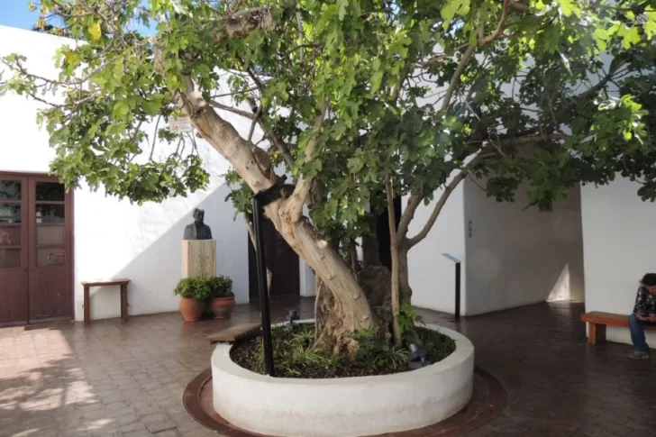 Mirá lo que podés hacer el miércoles 5 de noviembre en San Juan