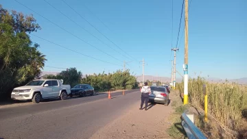 Disfraces y caos: 13 autos radiados por alcoholemia y un local clausurado por presencia de menores en una fiesta de Halloween Disfraces y caos: 13 autos radiados por alcoholemia y un local clausurado por presencia de menores en una fiesta de Halloween