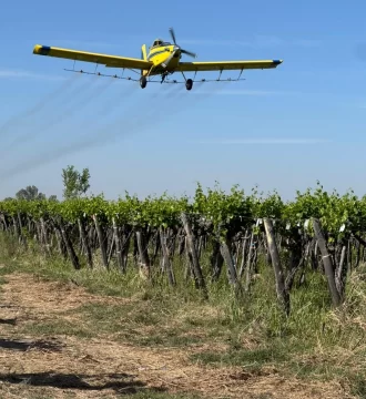 Culminó con éxito la aplicación aérea contra la polilla de la vid en los departamentos vitivinícolas